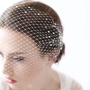 Twigs and honey Swarovski bird cage bridal veil